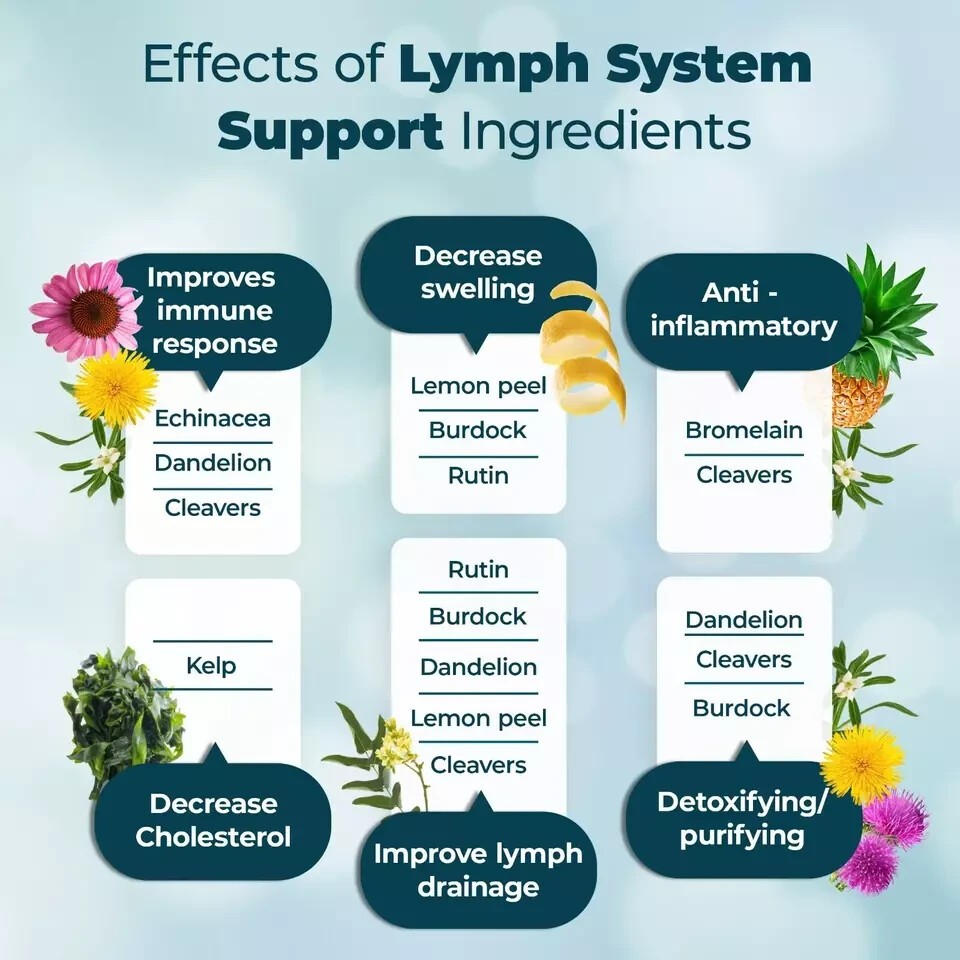 1 Pack of PureHealth Research Lymph System-Reduce Swelling Lymphatic Supplement