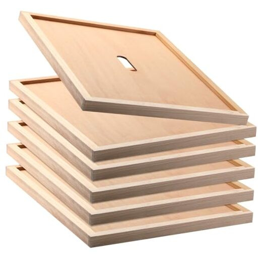 6 Pcs Beehive Inner Cover for 10 Frame Hive Box Cover with Feeding Hole