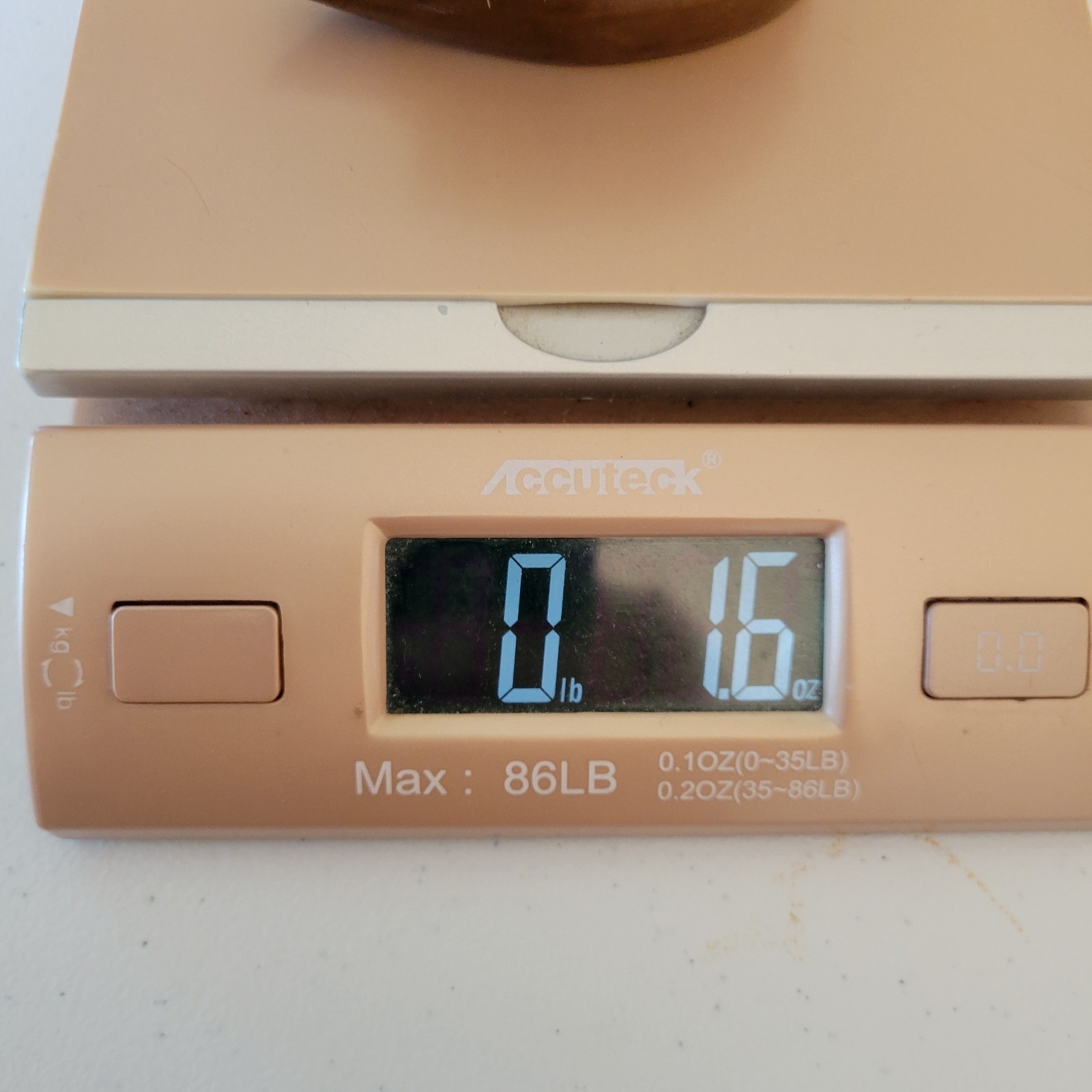 Vintage 60s Danish Teak Hedgehog Clothes Tabletop Crumb Brush MCM Shoe Cleaner