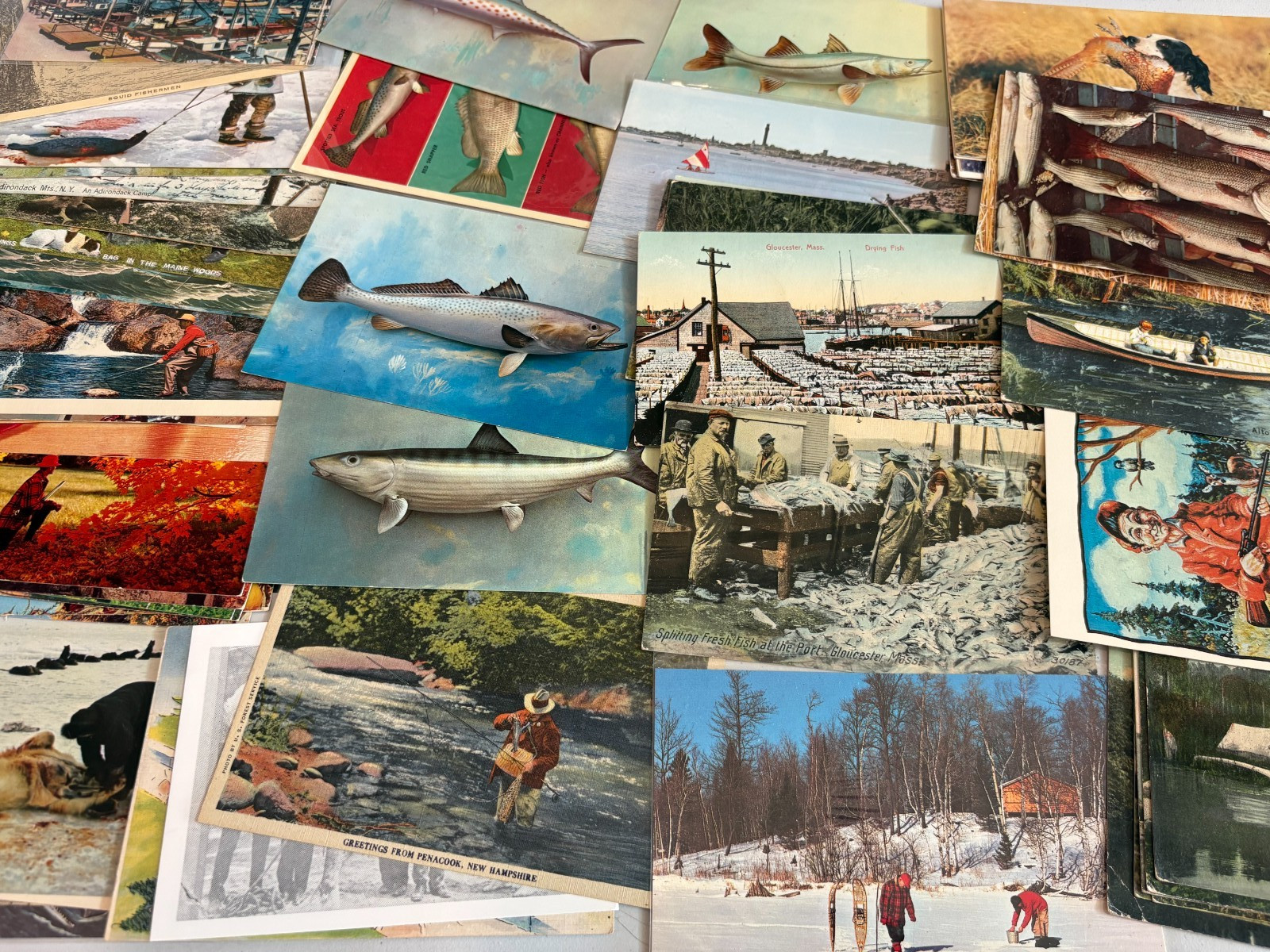 Lot of 25 UNUSED Vintage Postcards USA & FUN TOPICS! 1900s-60s FREE SHIPPING