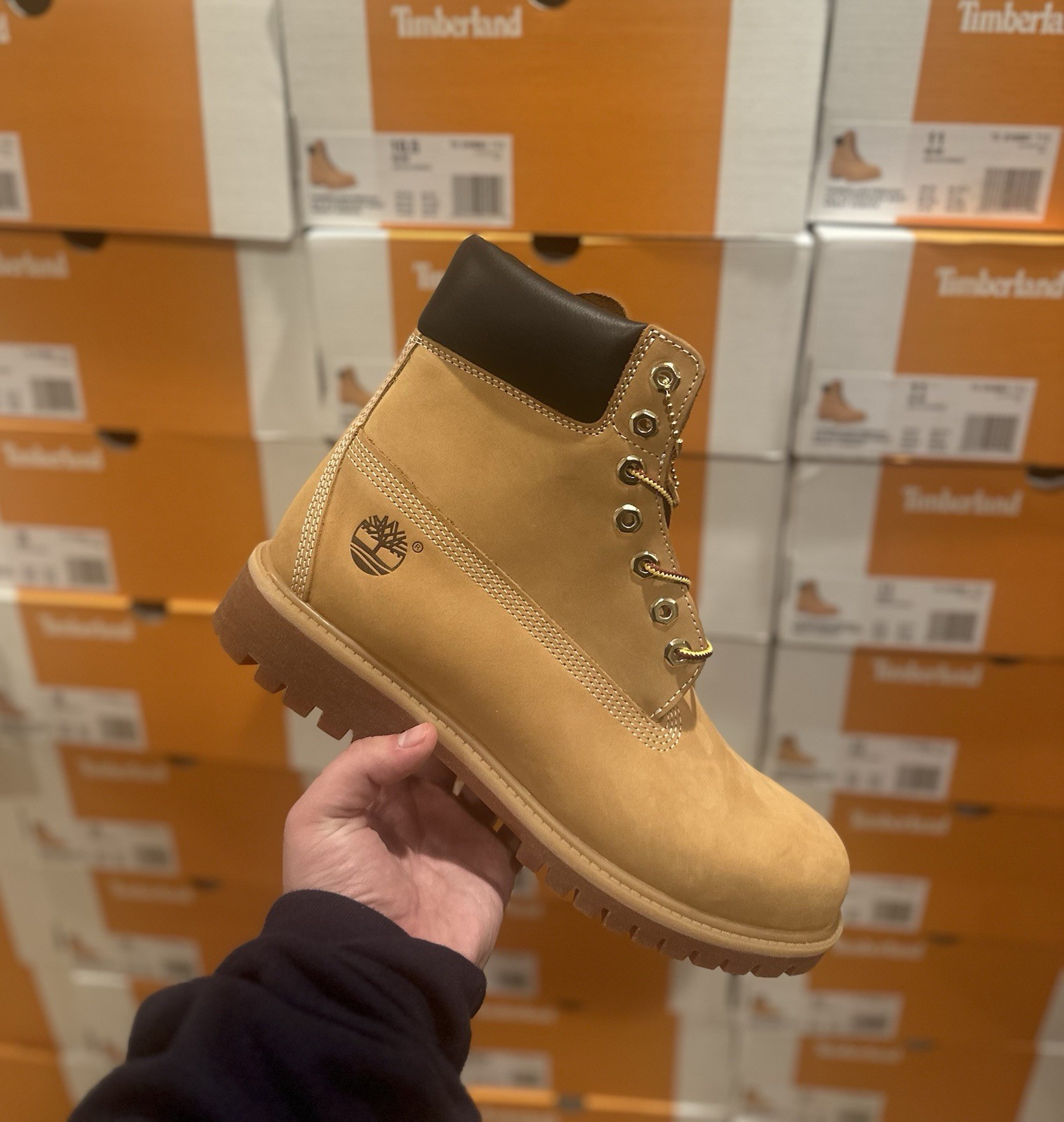 NEW Timberland 6 Inch Boot Wheat Nubuck Premium TB010061-713 Men's Sz 6-13