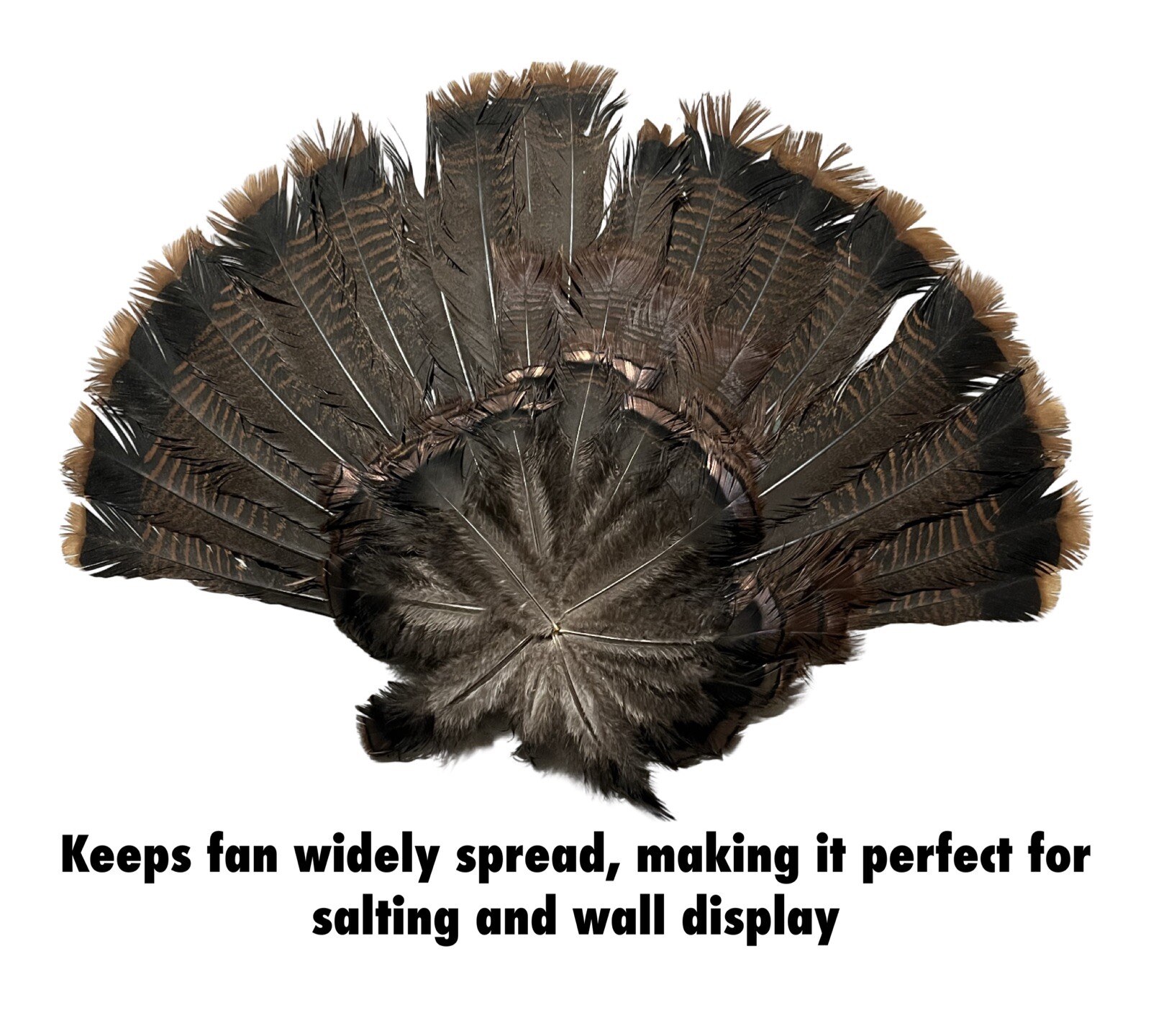 Turkey Hunting Fan Decoy Mount - Wall Mount, Hunt, & Preserve - Fan Not Included