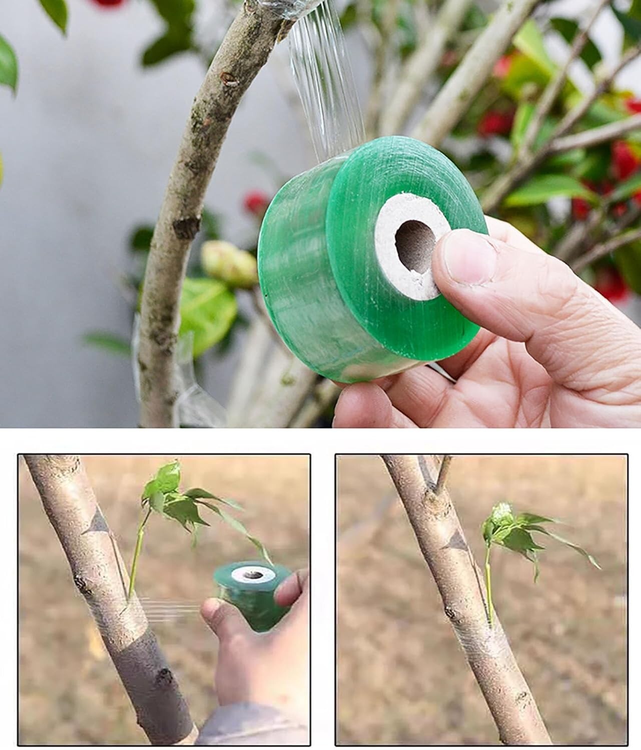 3 Rolls Grafting Tape Stretchable Garden Plants Repair Tape for Fruits Tree