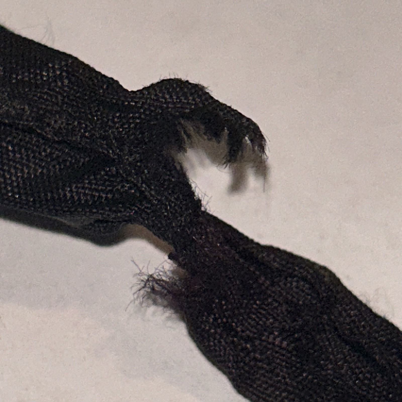 VTG Ozzy Osbourne 1984 HEADBAND SPEAK OF THE DEVIL - RARE - Bat Logo