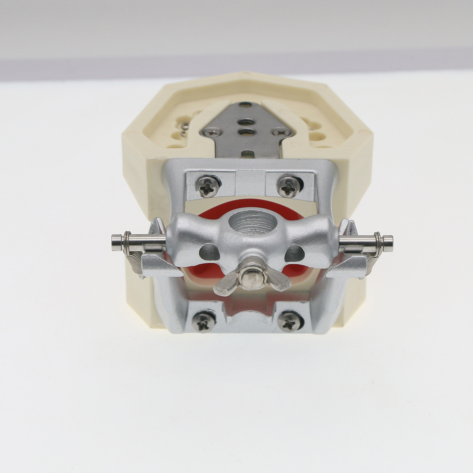 US 28Pcs Dental Typodont Teeth Model fits Kilgore NISSIN 200 Type Teeth Teeth