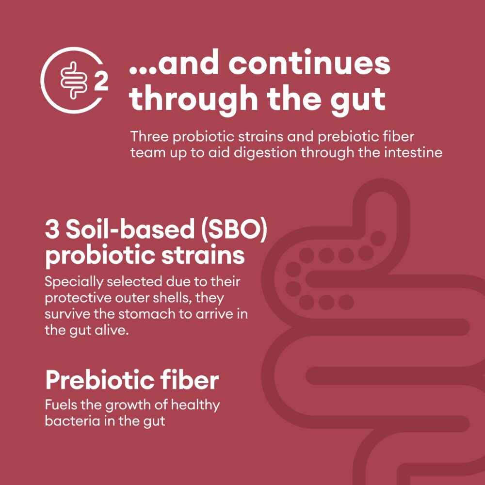 Physician's CHOICE Digestive Enzymes - Multi Enzymes, Organic Prebiotics - 60 CT