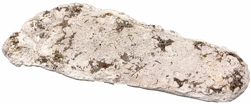 Arcane Artifacts Bigfoot Track Casting FULL SIZE Footprint Sasquatch NOT PLASTER