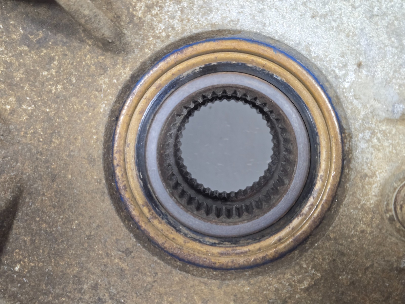 2003 Polaris Sportsman 700 Rear Differential Rear End Housing Gearbox 1341352