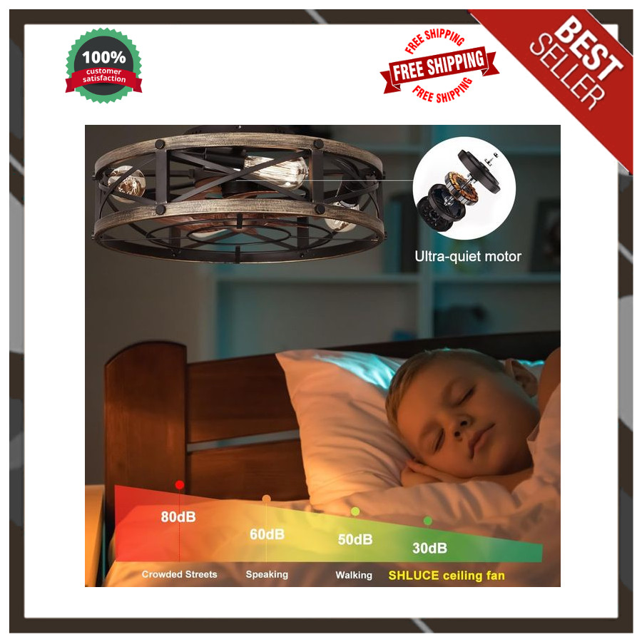 Rustic 19" Ceiling Fan with Light and Remote, 6 Speeds, Farmhouse Flush Mount