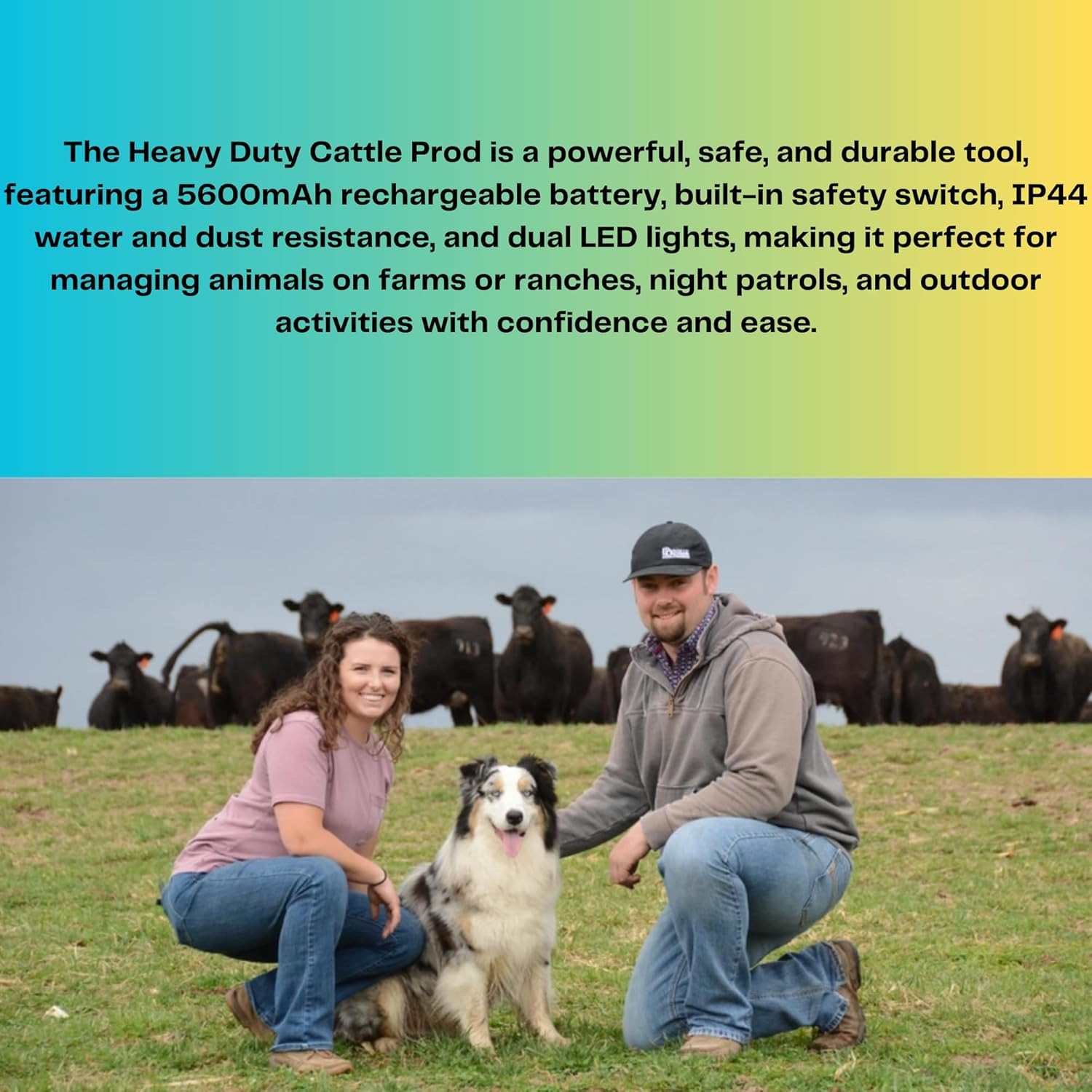 Cattle Prod, Rechargeable Electric Livestock Prod with 2 LED Lights, Waterproof