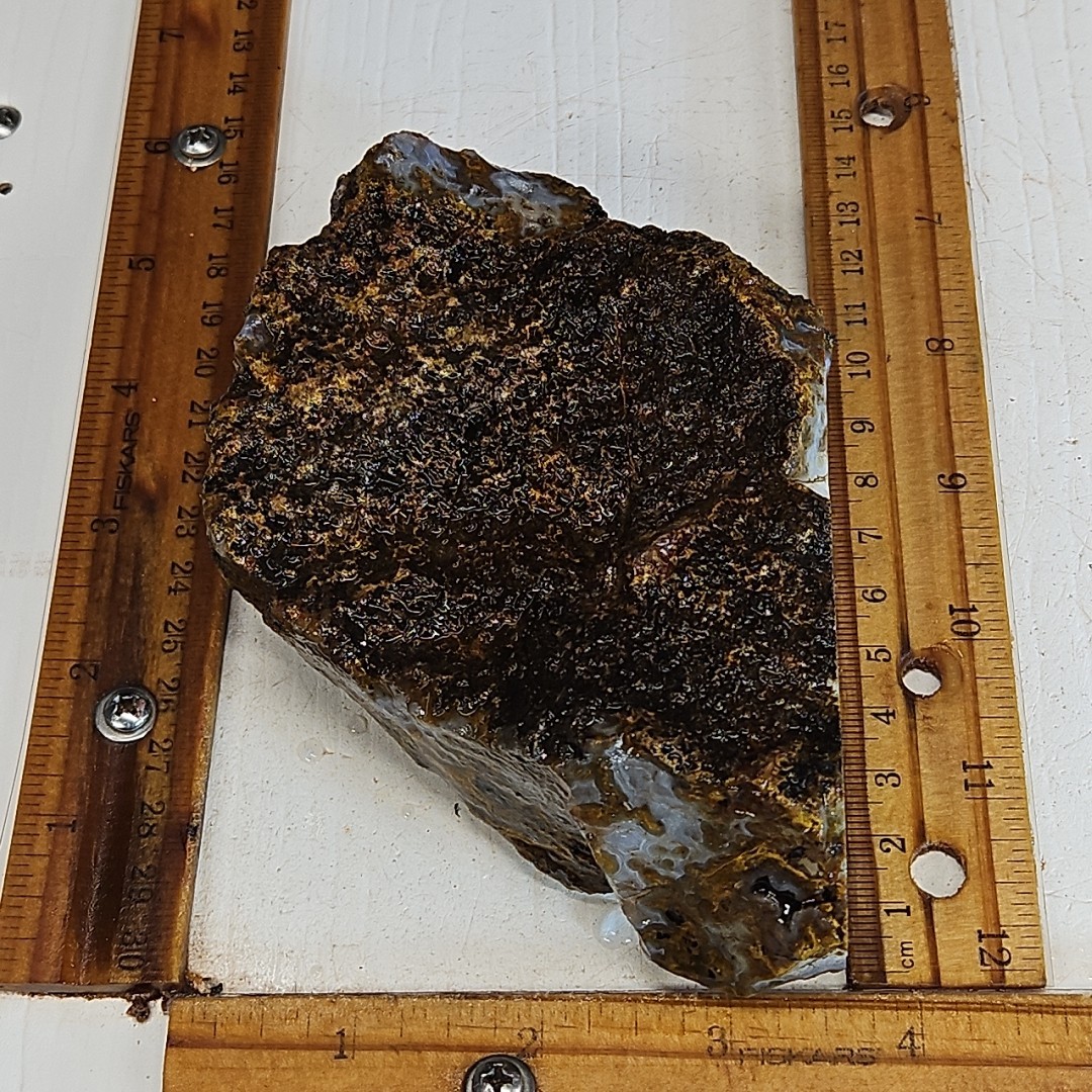 Agua Nueva agate rough. Beautiful light blue banded agate, with drusy 1LB 1.6oz.