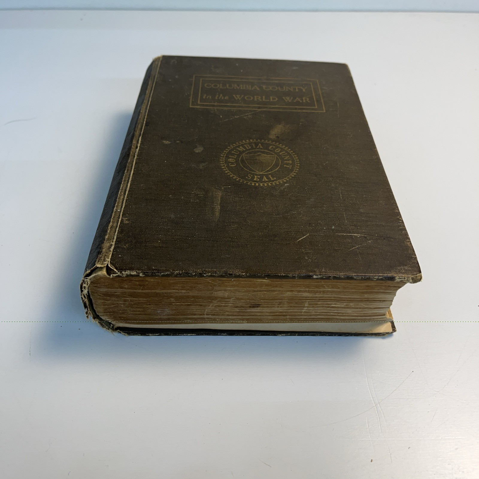 Columbia County in the World War 1924 Home Defense Committee NY WWI History Book