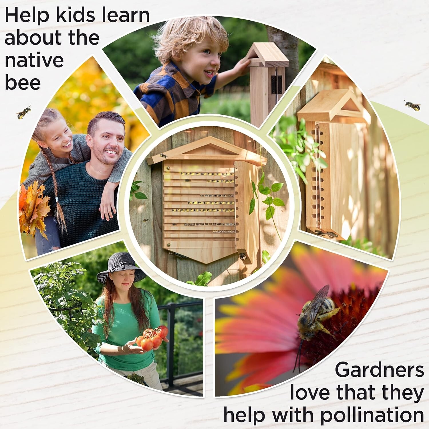 Native Bee Observatory | Mason Bee Houses for Pollinating Bees