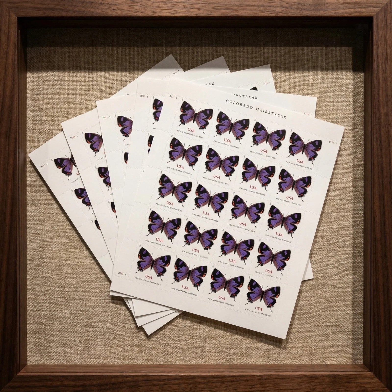 5 SHEETS PURPLE COLORADO HAIRSTREAK - NON-MACHINABLE USPS STAMPS - 100 TOTAL