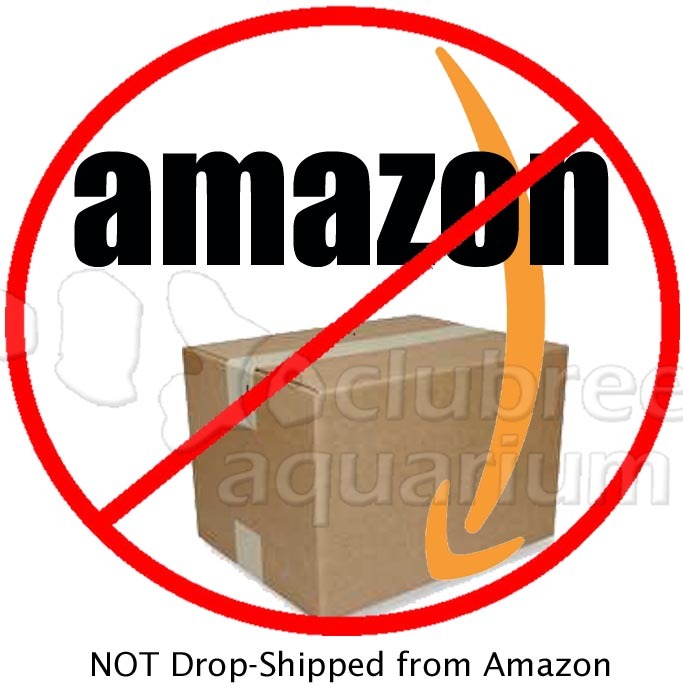 Aqua Paradise/Sea Garden 2 Scene 24" Aquarium Background