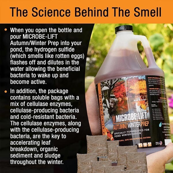 Microbe Lift Autumn & Winter Prep 1 Gallon Kit Pond Treatment AUTPREPGK