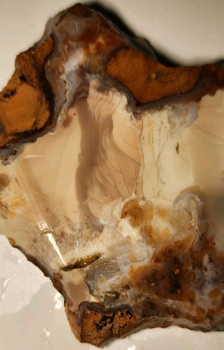 Buchanan Thunderegg - Porcelain Jasper With Orbs High Quality Lapidary, OR. 52g