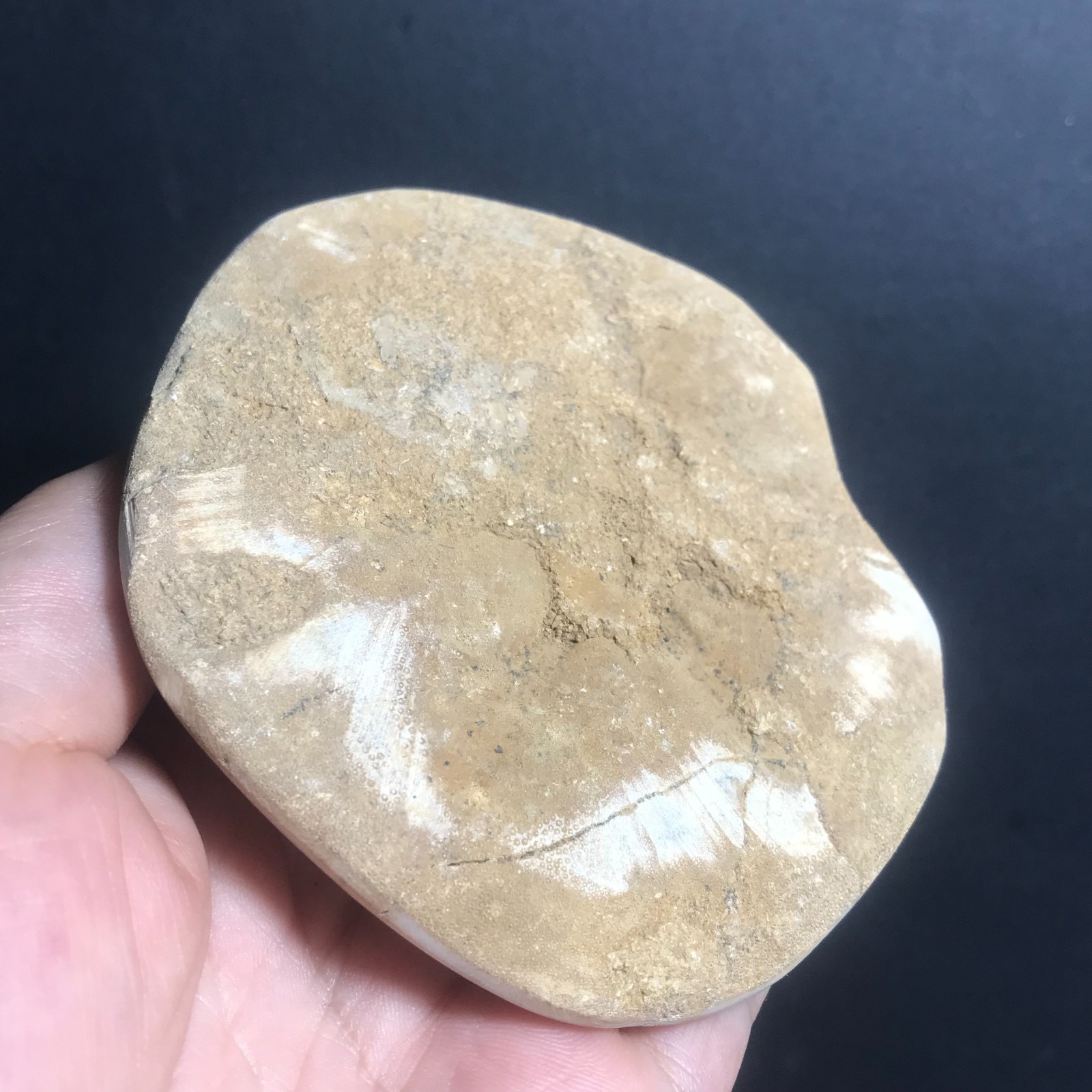 213g Starfish Crystal Specimen 09