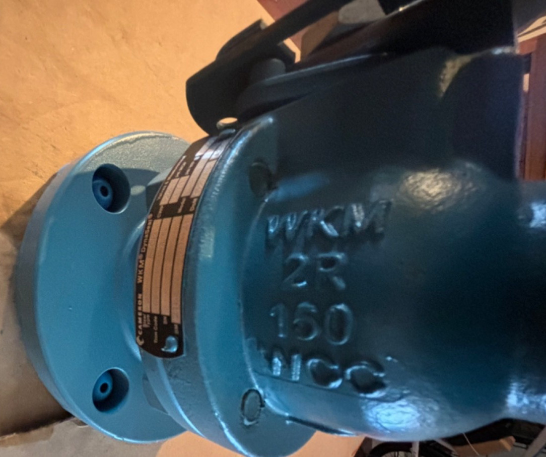 CAMERON WKM 310F Ball Valve | 2" 150 RF Flanged Full Port | Lever Operated