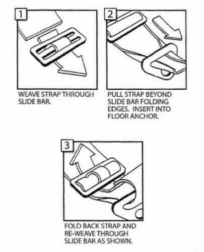 KIDS SEAT BELT RACE HARNESS SFI 16.1 CERTIFIED CAM LOCK ROLL BAR MOUNT