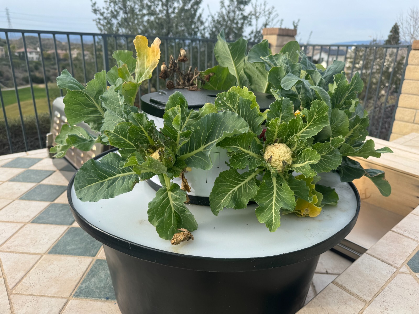 hydroponic vertical tower growing system-2025