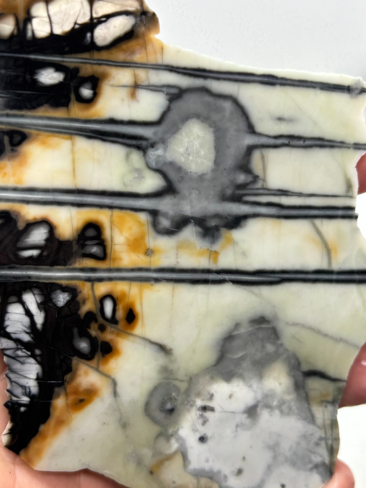 Picasso Marble (Jasper) end Slab Cabbing Lapidary Utah Combo Ship Avail