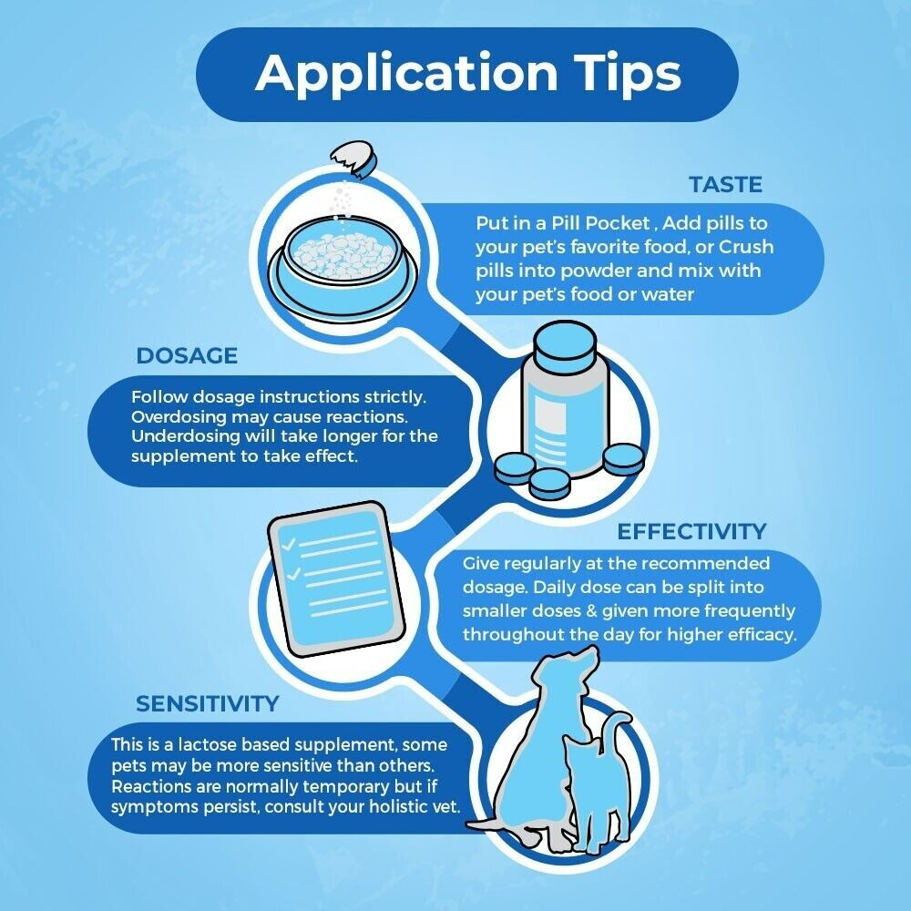 Natural Hepatic Dog Liver Support Tablets