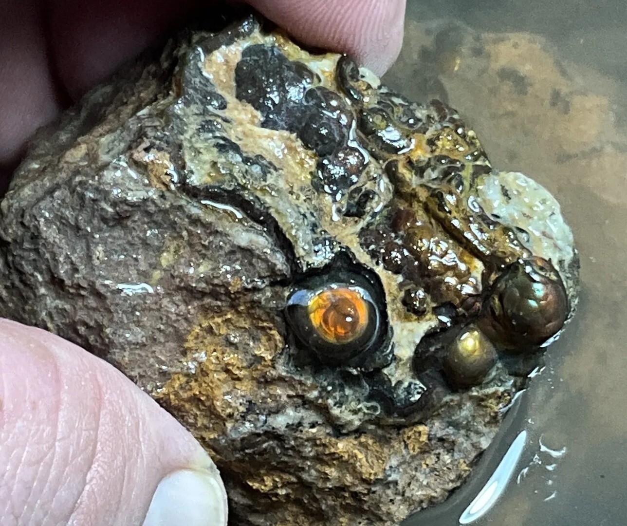 1/4 Pound Fire Agate Choice & Mid Grade Professionally Chosen Colorful Rough Lot