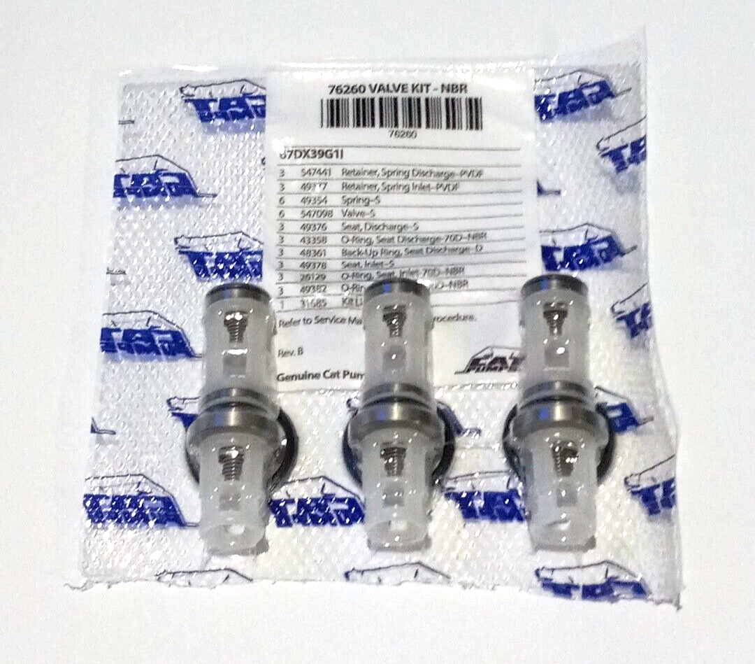 Cat Pumps 76260 Valve Kit 67DX39G1I OEM