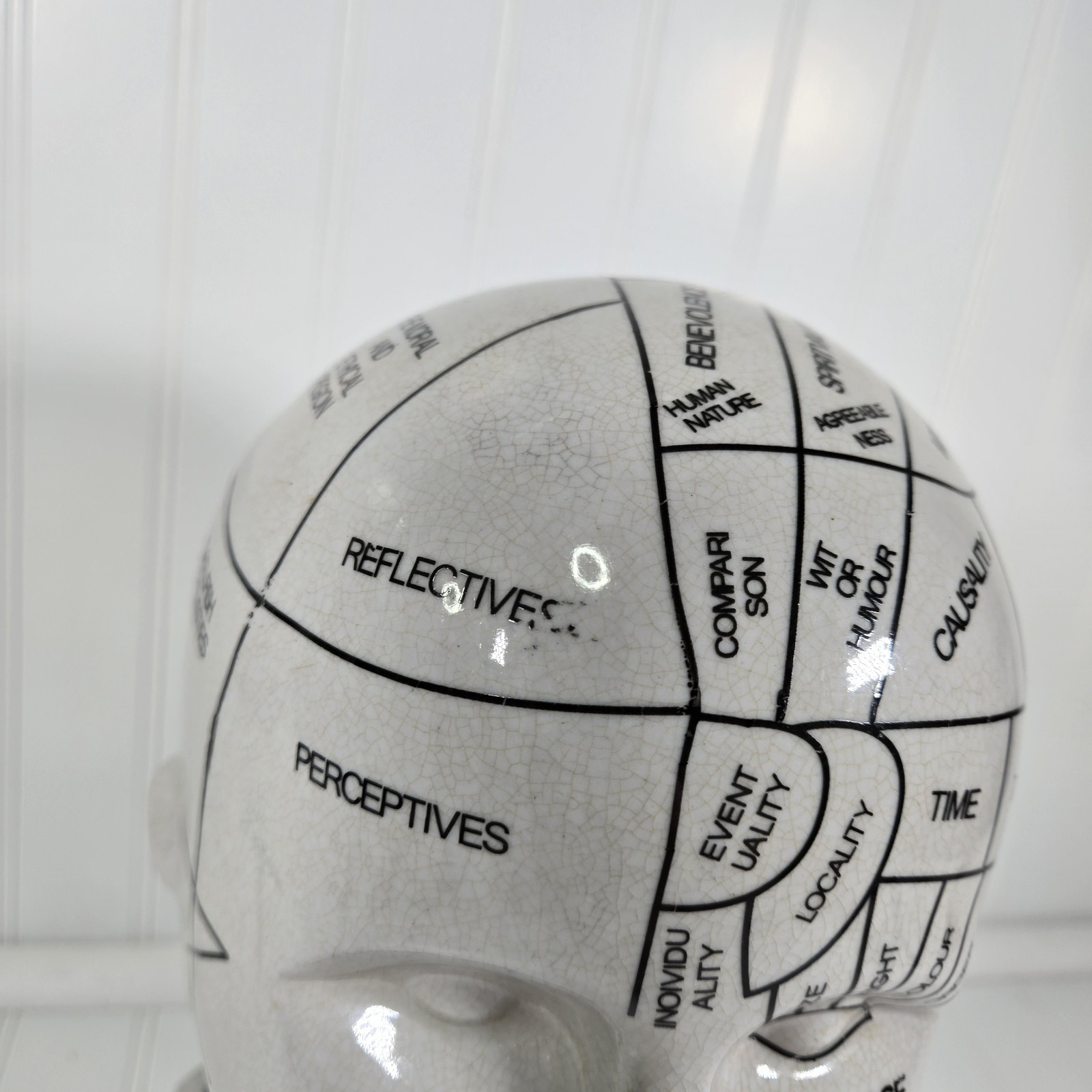 Phrenology Bust Table Head Statue 13” Ceramic Vintage Porcelain Pseudoscience