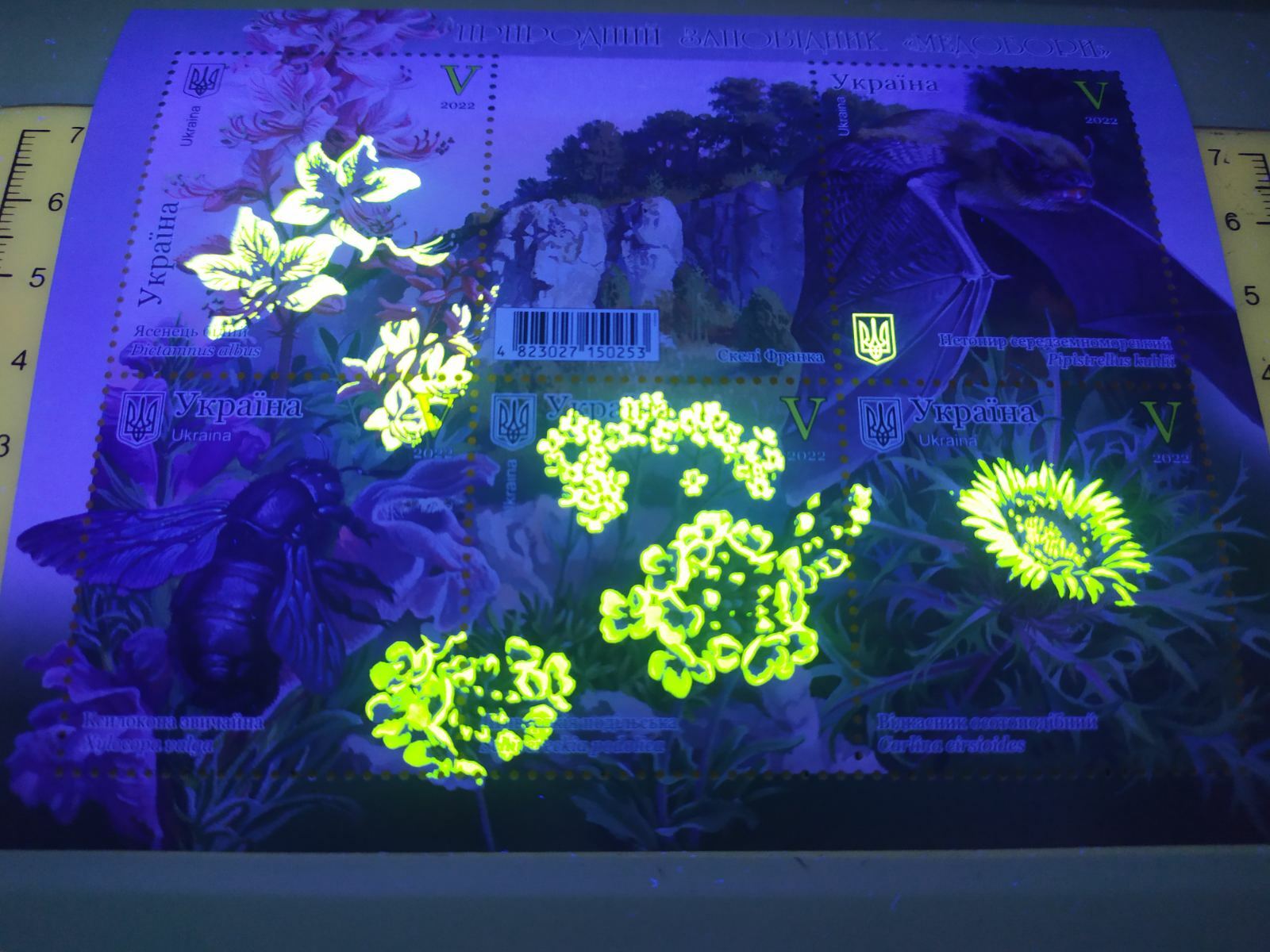 Ukraine 2022 fauna. Nature reserve "Medobory", block MNH RARITY