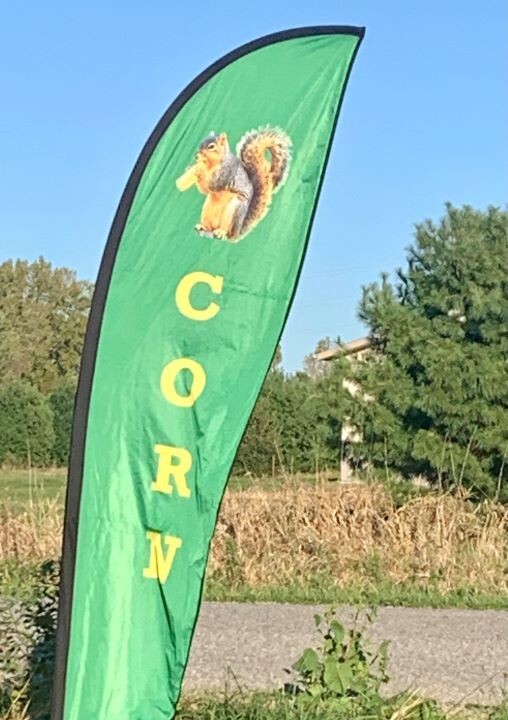 Corn on the Cob Squirrel, Bird, Rabbit, Feed 18 lb just harvested