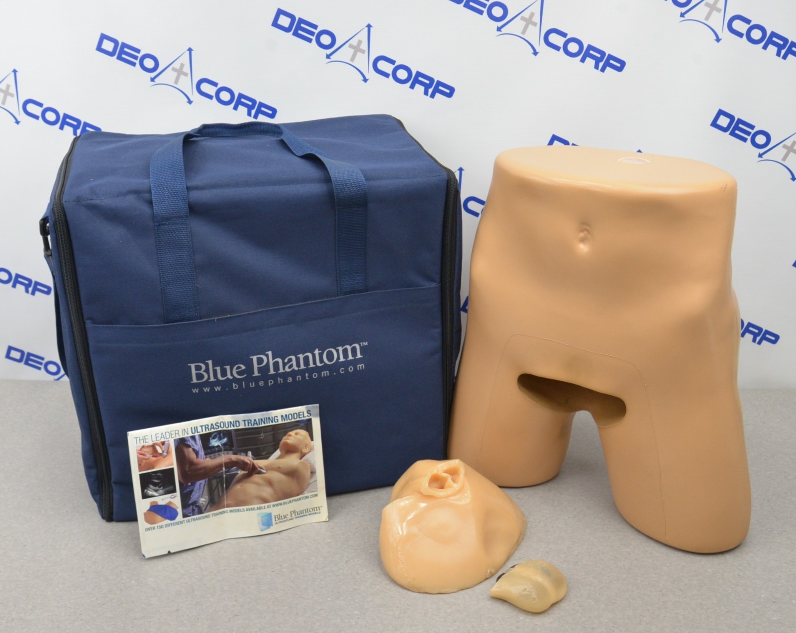 Blue Phantom Imaging Scrotal Training Model