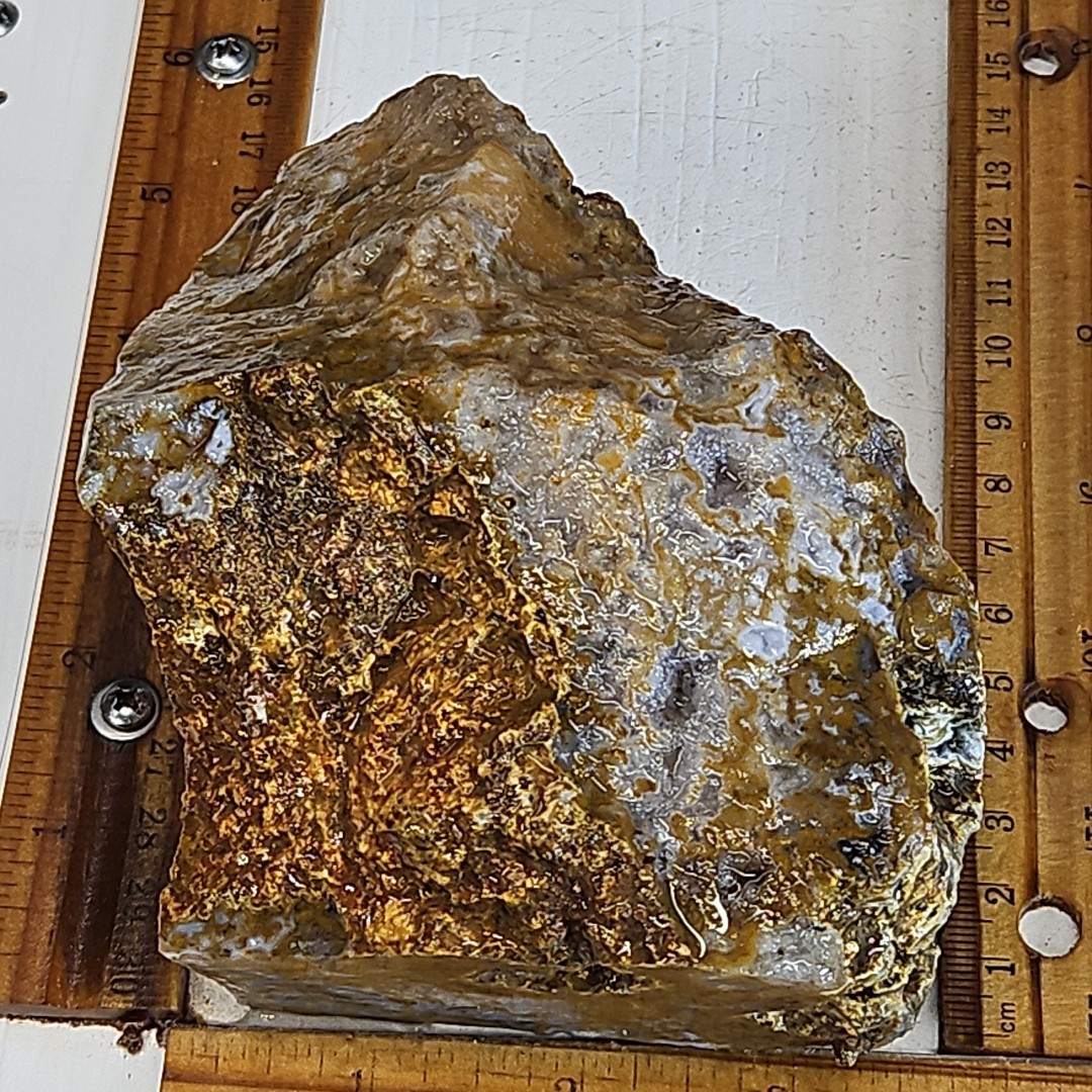 Royal blue agate rough. Spectacular blue colors, sharp banding 2LBS 4.7oz.