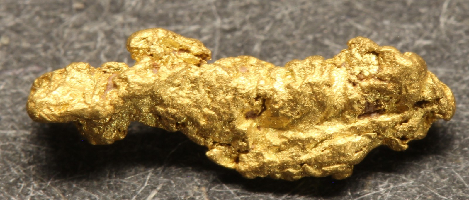 Gold nugget Small nugget in box  0.32 Gram Rose Creek Placer Pershing Co. NV