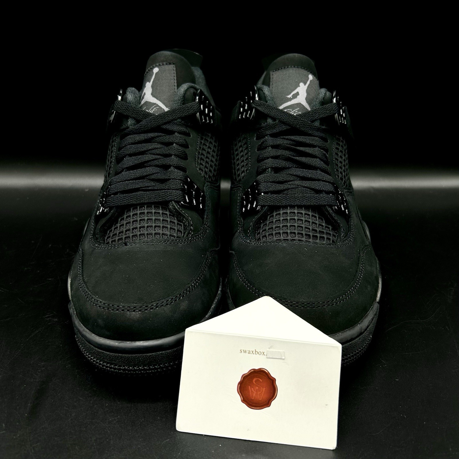 Air Jordan 4 “Black Cat” FV5029-010 Ship Now