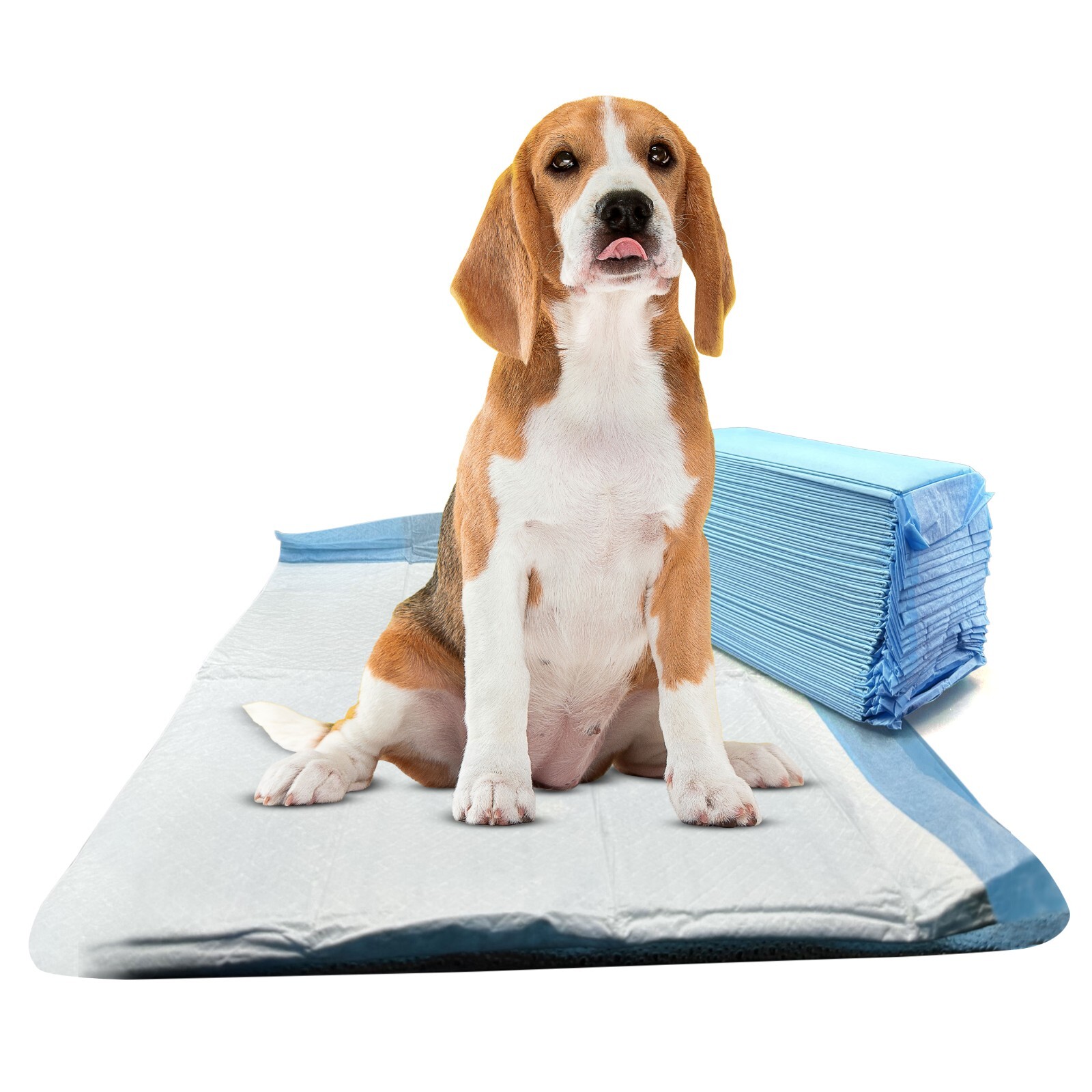 Pet Pads for Dog Scented 5-Layer Ultra-Absorbent Blue Underpads All Size & Packs