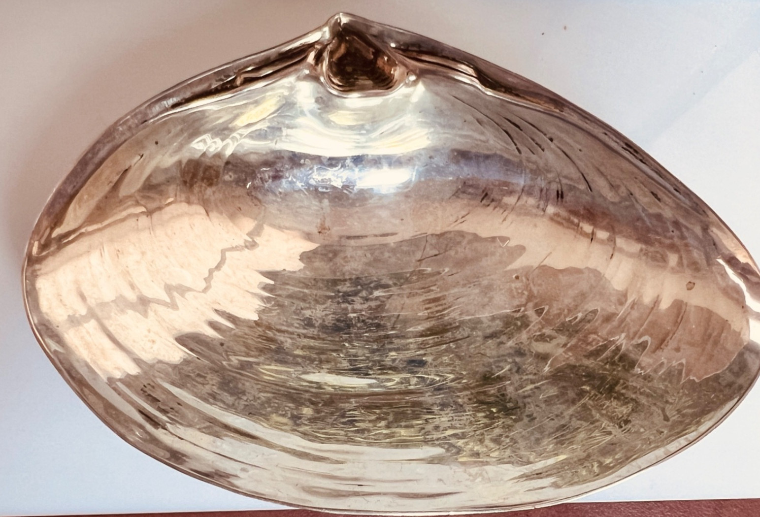 WALLACE STERLING 6 3/16 " CLAM SHELL BOWL 393 GORGEOUS EXCELLENT NO DENTS