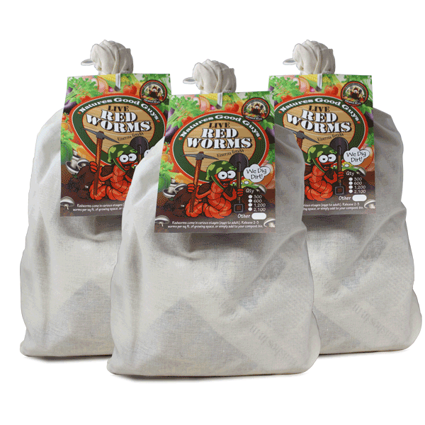 Compost Live Red Worms - Natures Good Guys - Red Wigglers