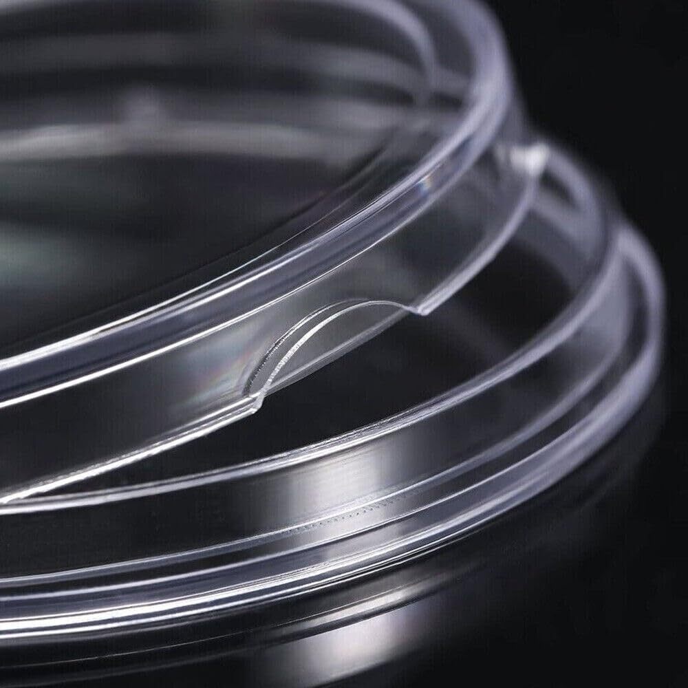 100X 19mm Coin Holders Capsules Clear Round Storage Direct for US Penny 1 cent