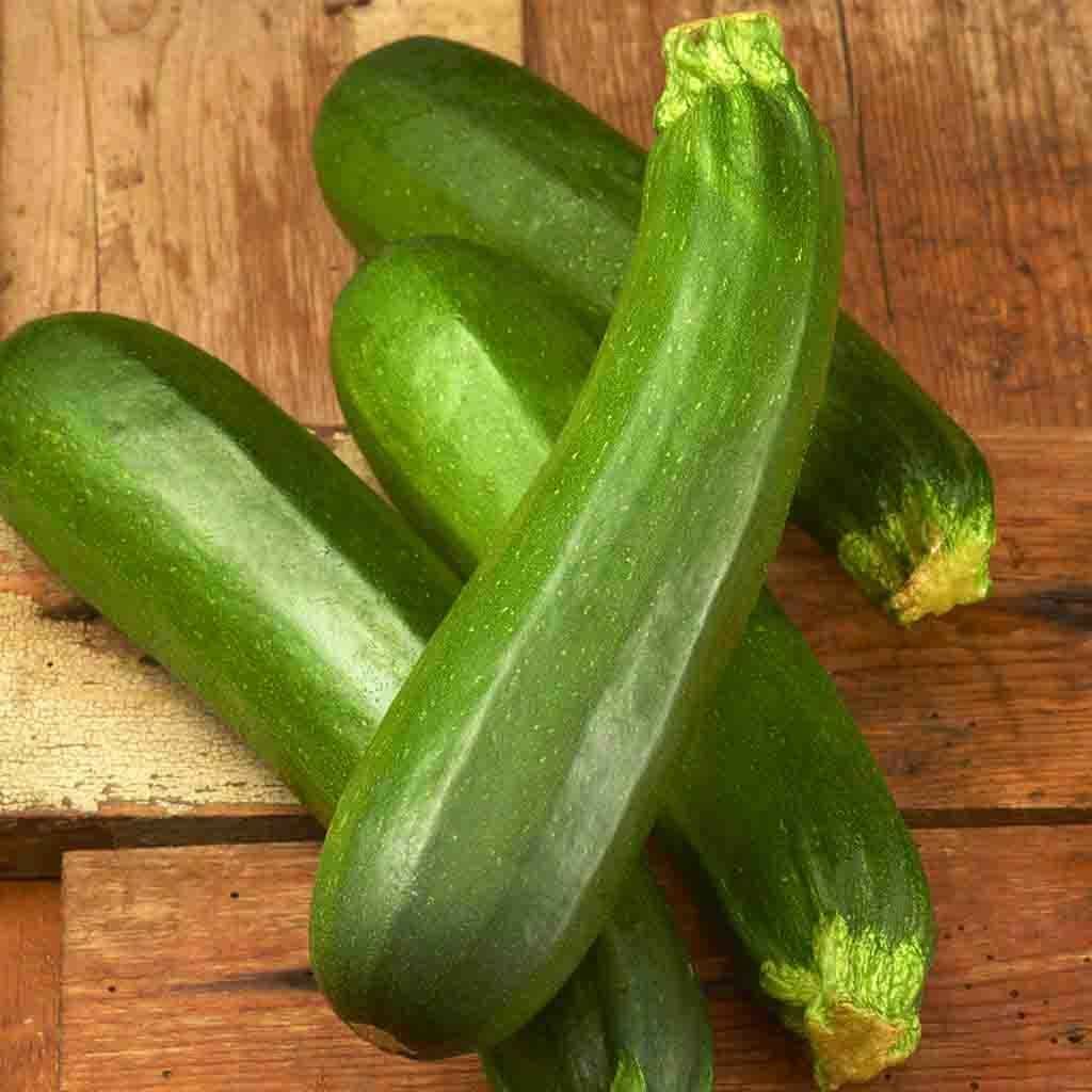 Dark Green Zucchini Summer Squash Seeds, NON-GMO, Variety Sizes, FREE SHIPPING