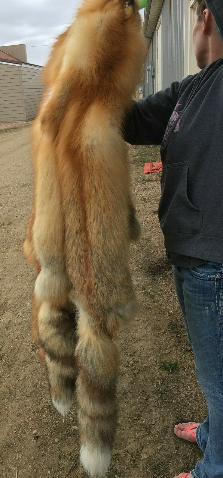 Tanned Red Fox Winter “Heavy Fur” Western XL, some Imperfections (rfwhimp)