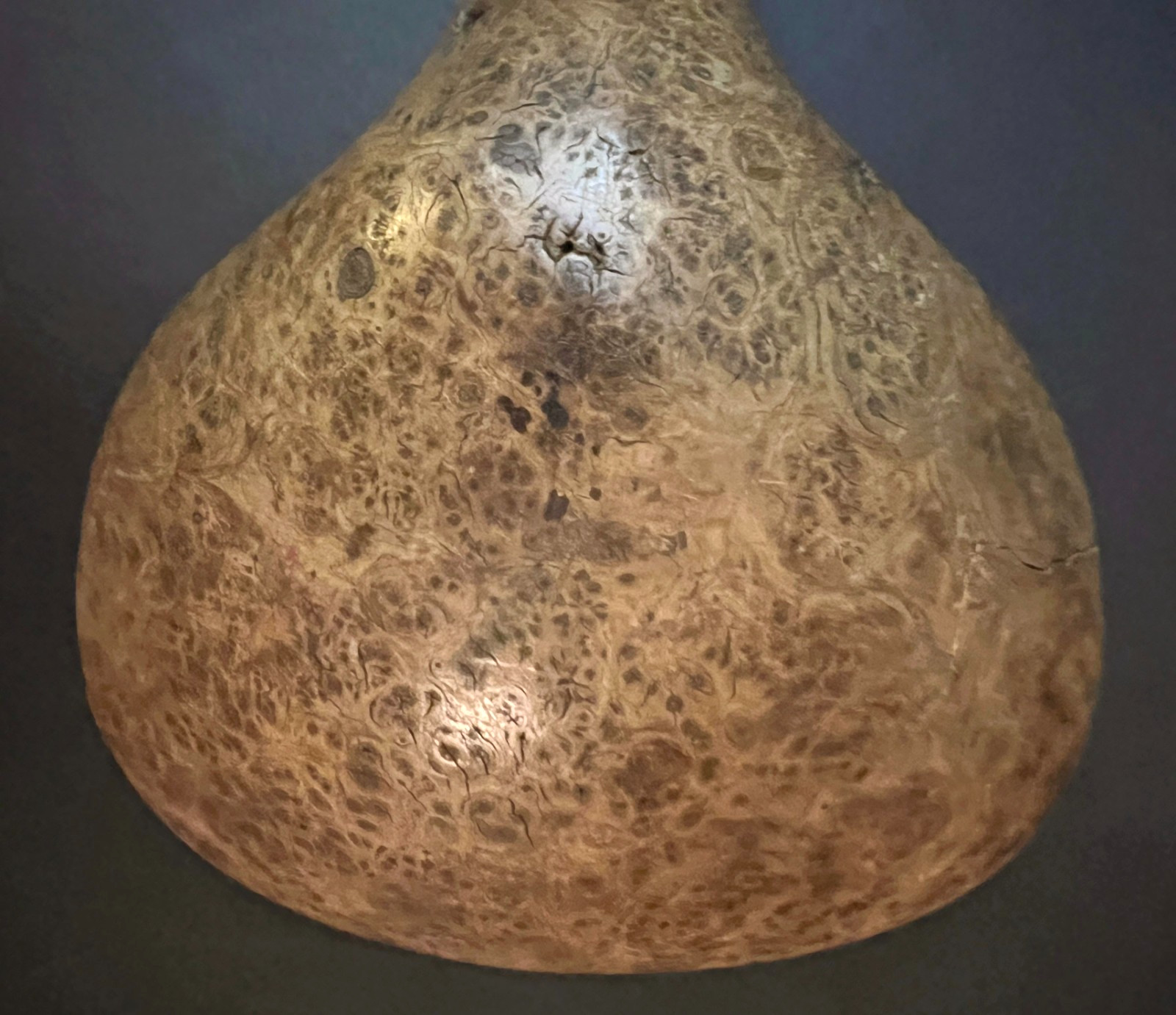 HAIDA-TLINGIT FEAST SPOON/LADLE Hand Made Antique Native American Burlwood Art