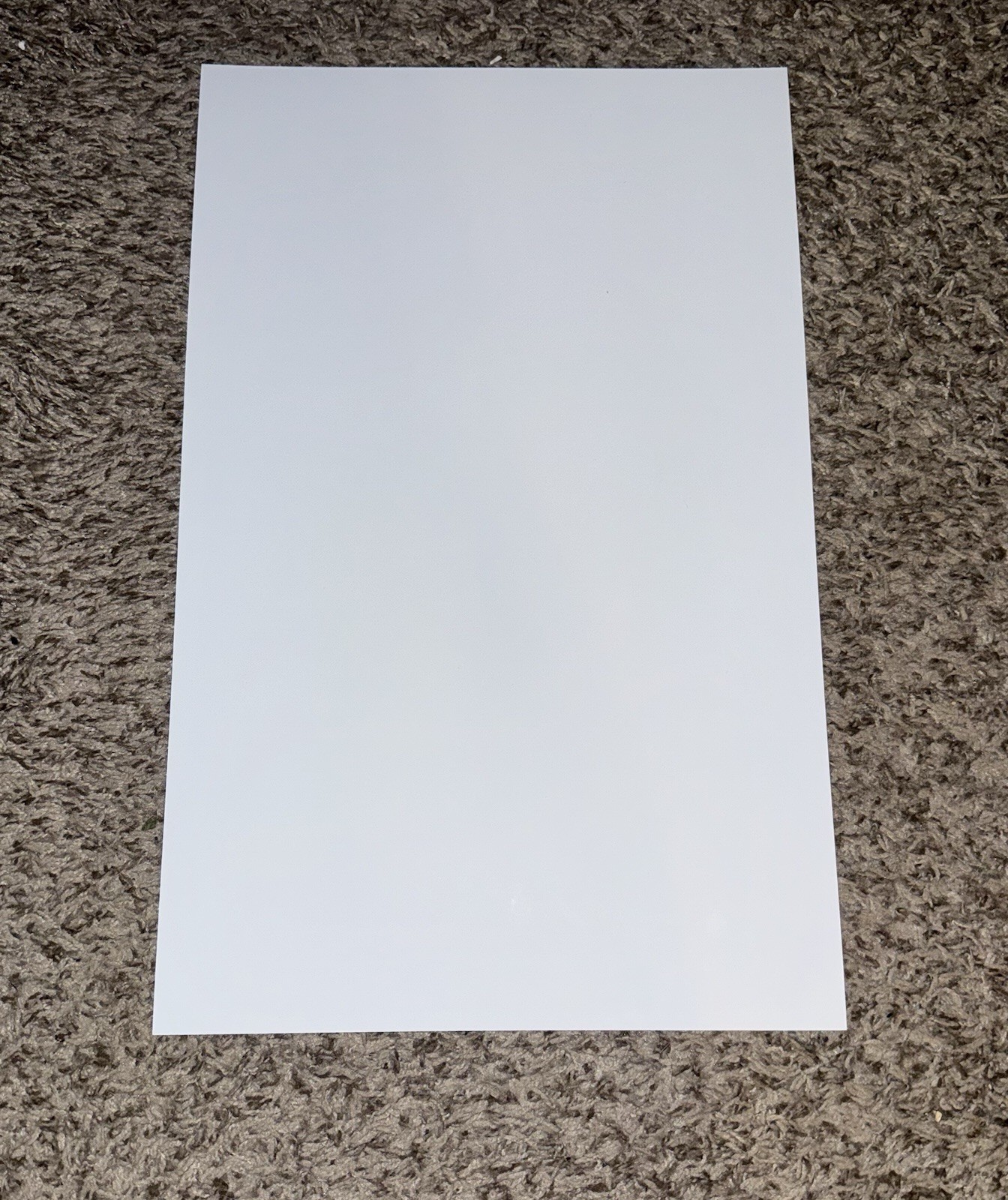 Official Alice Cooper & Criss Angel Welcome To Our Nightmare Lenticular Poster!