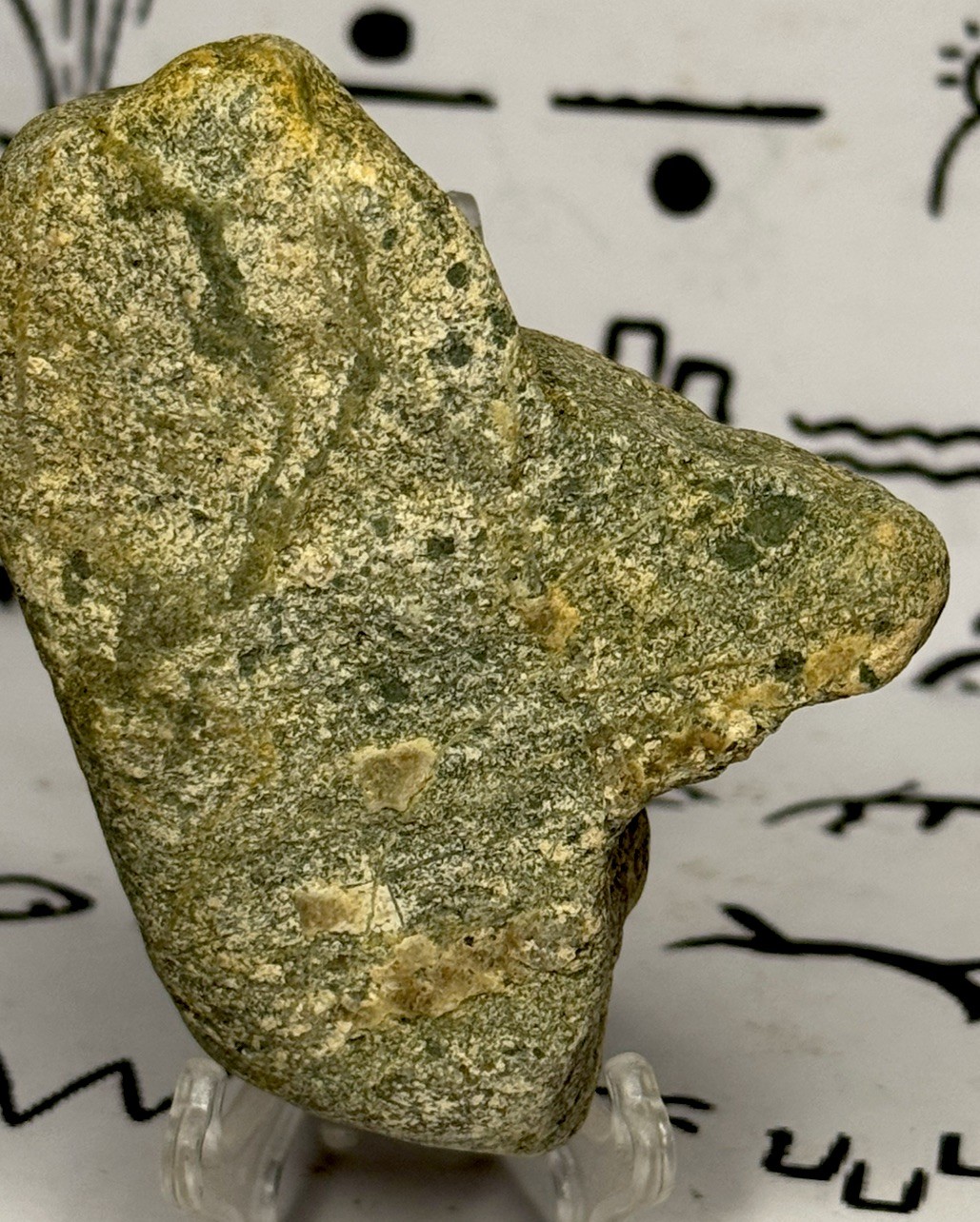 Native American Indian Authentic Artifact Stone Carved Effigy, 5.2 oz • VA