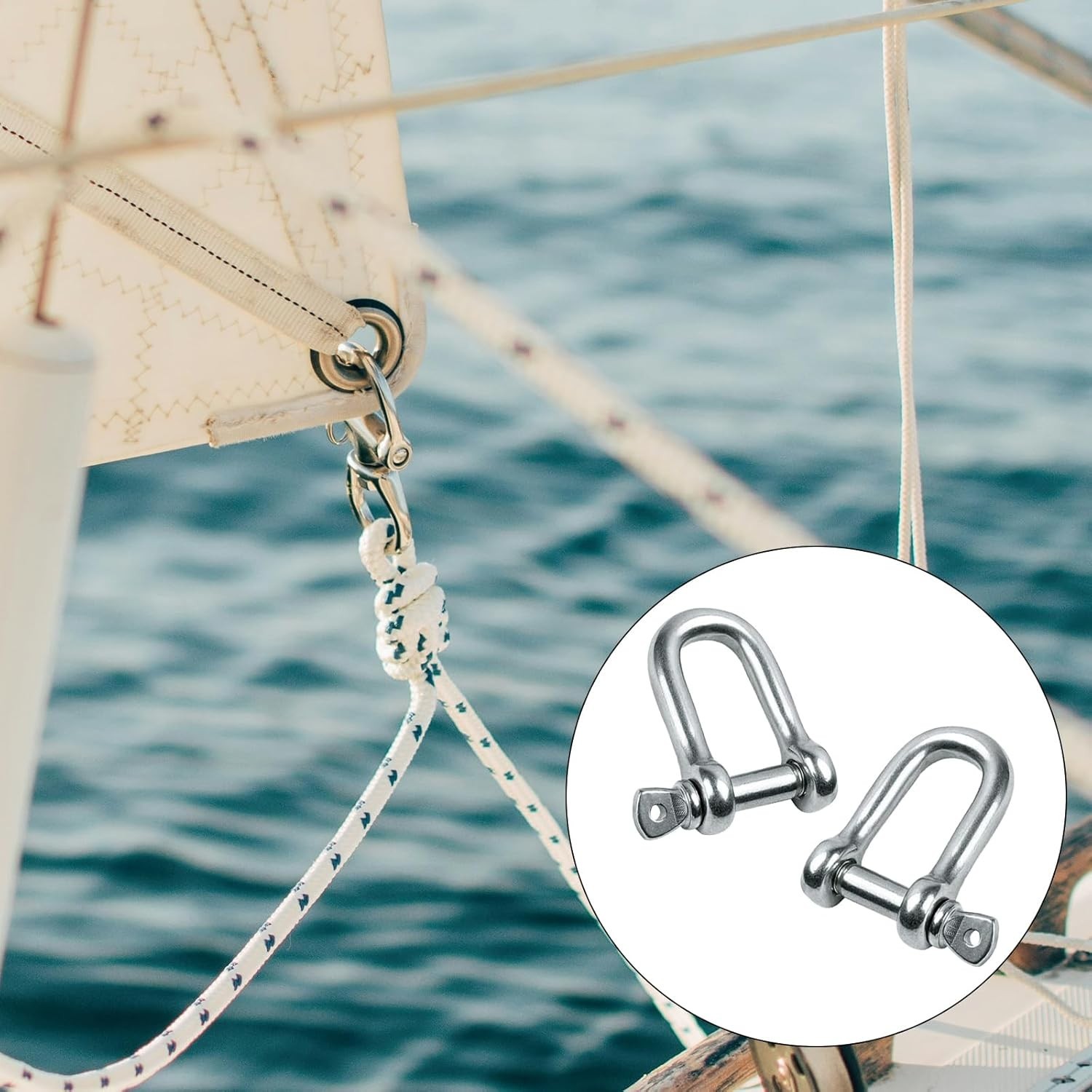 6 Pcs 1/4 D Ring Anchor Shackles, Stainless Steel Clevis Shackle, Marine Boat