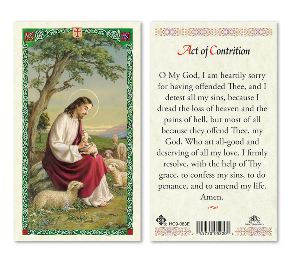 Laminated Act of Contrition AND Chaplet of Divine Mercy Prayer Card Set Catholic