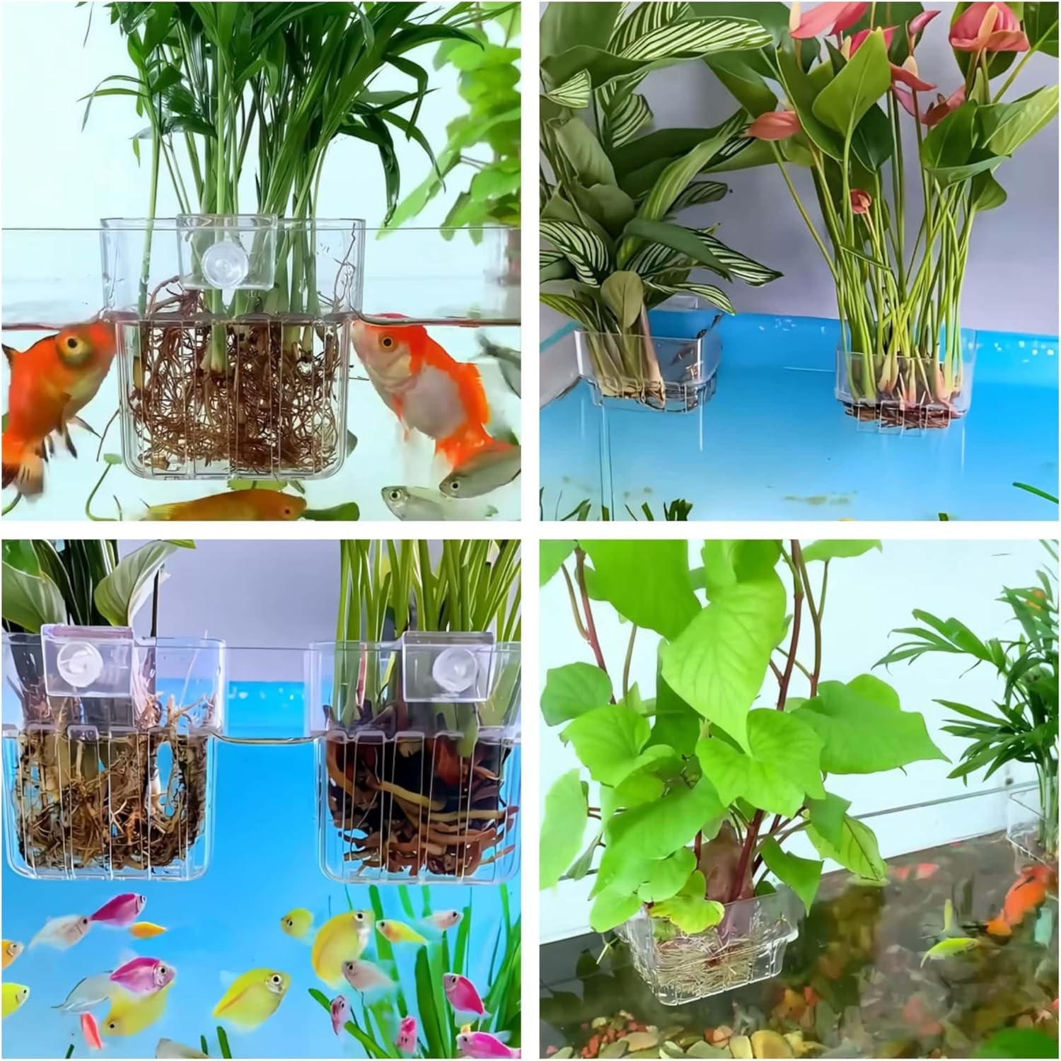2 Pack Clear Aquarium Plant Holder Top Hanging Fish Tank Plant Holders Fits up t