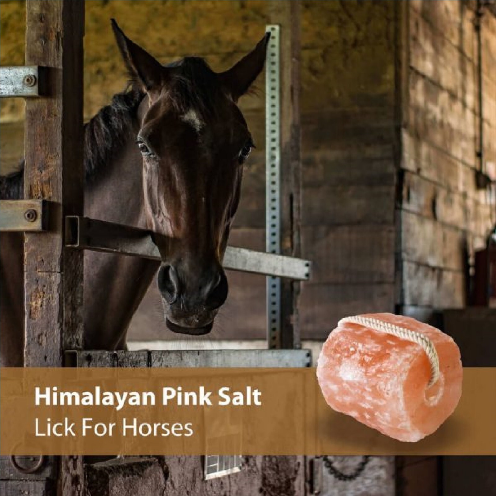 Pack of 2 Himalayan Rock Salt Licks 2 LB Each for Horses - Natural Mineral Block