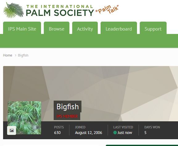 Butiagrus Seeds! F1 Hybrid Mule Palm Seeds. Rarely Ever Offered! Cold Hardy!